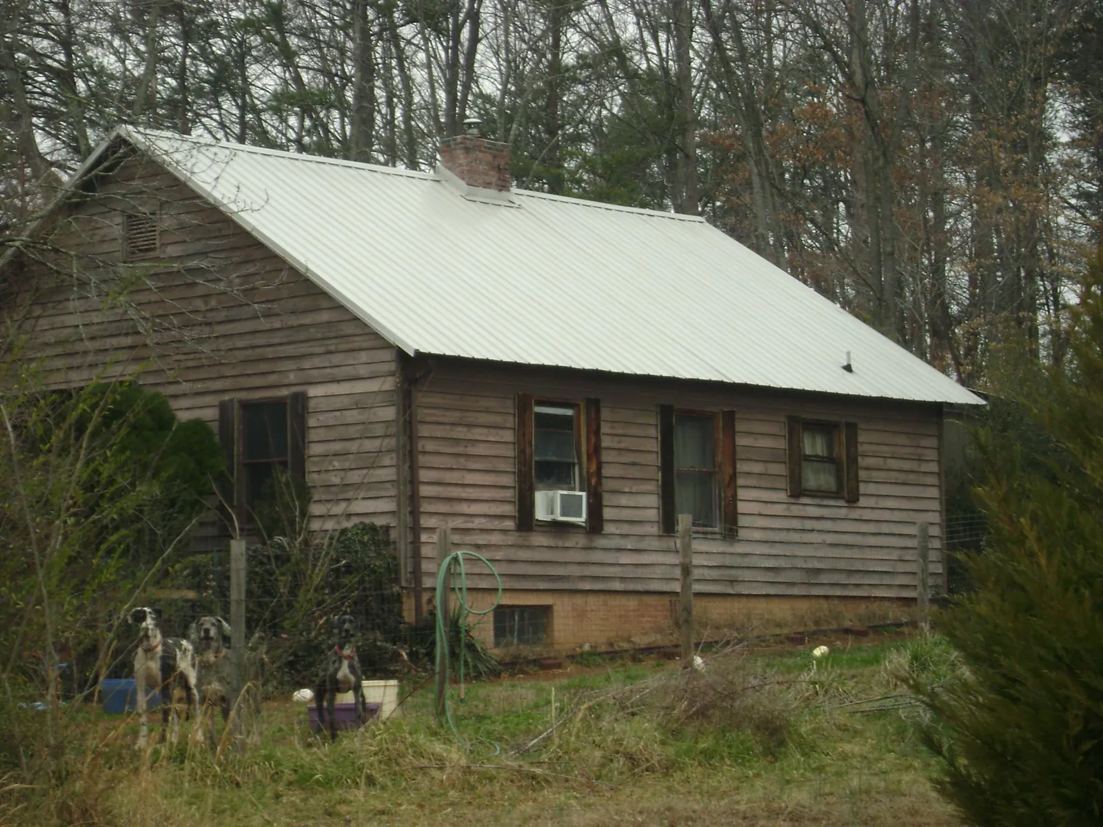 White metal roof on an old wood sided farmhouse, from a Metal Roof Installation job in Springbrook